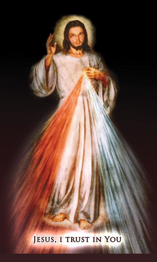 Divine Mercy Holy Cards - 25-Pack